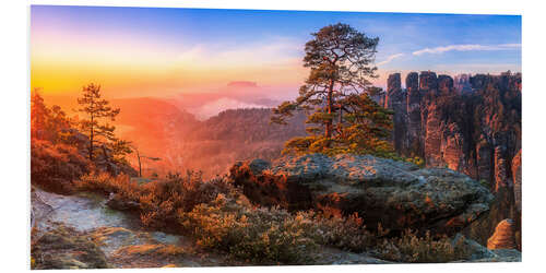 Foam board print View into the Saxon Switzerland III