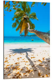 Stampa su alluminio Sea view with palm tree
