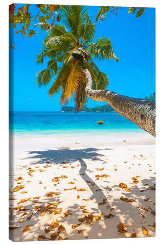 Canvas print Sea view with palm tree