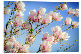 Stampa su vetro acrilico  magnolia - Steffen Gierok