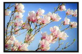 Gerahmter Kunstdruck Magnolie I