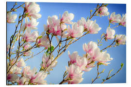 Magnettafel Magnolie I