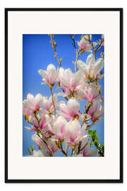 Gerahmter Kunstdruck Magnolie II