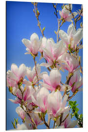 Magnettafel Magnolie II