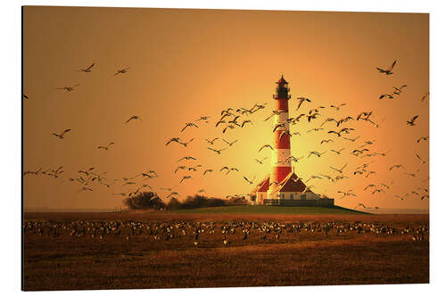 Obraz na aluminium Sunset at Westerhever