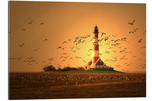 Quadro em plexi-alumínio Sunset at Westerhever