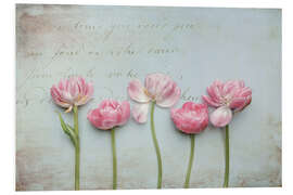 Foam board print Vintage Tulips