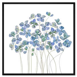 Gerahmter Kunstdruck blaue Hydrangea