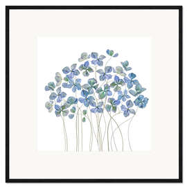 Gerahmter Kunstdruck blaue Hydrangea