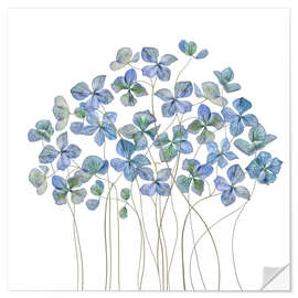 Wall sticker Blue Hydrangea