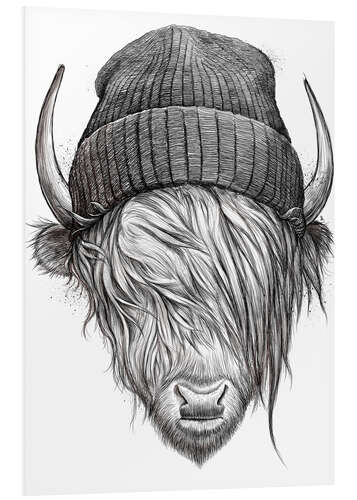 Foam board print Bull in a hat