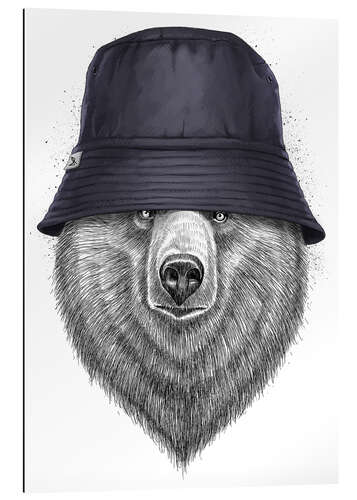 Gallery print Bear in hat