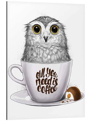 Alumiinitaulu Owl you need is coffee
