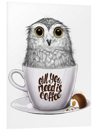Cuadro de PVC Owl you need is coffee