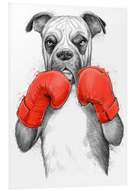 Foam board print German boxer