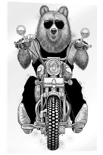 Akrylbillede Carefree bear