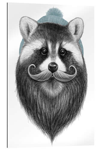 Gallery print Bearded raccoon