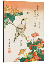 Magnettafel Mirabilis Jalapa und Kernbeißer