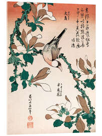 Stampa su vetro acrilico  Fringuello di Giava su una magnolia - Katsushika Hokusai