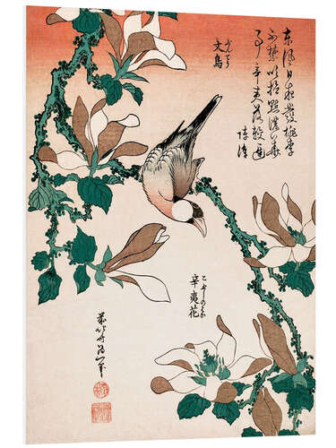 Foam board print Java Sparrow on Magnolia