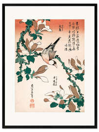 Plakat artystyczny premium w ramie java sparrow on magnolia