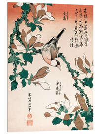 Gallery print Java Sparrow on Magnolia