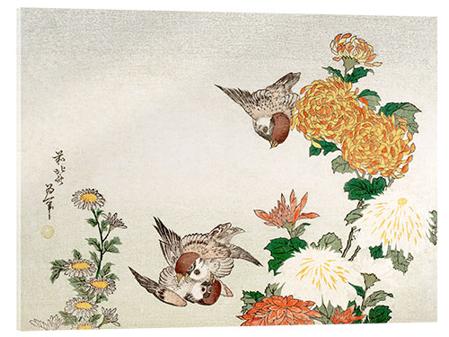 Acrylic print Sparrows and Chrysanthemums