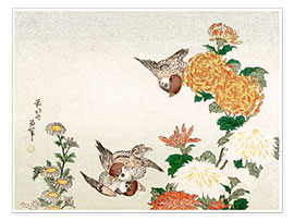 Veggbilde  Sparrows and Chrysanthemums - Katsushika Hokusai