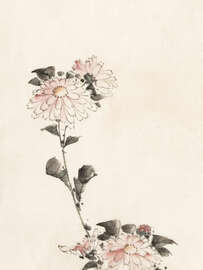 Magnettafel Blumenstudie - Katsushika Hokusai