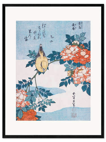 Framed art print Warbler and roses
