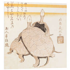 Hartschaumbild Schildkröten