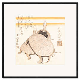 Gerahmter Kunstdruck Schildkröten