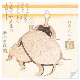 Wandsticker Schildkröten