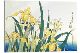 Gallery print Iris