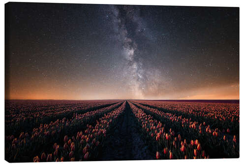 Canvas print Tulip field and Milky Way