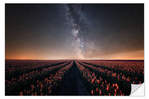 Sticker mural Tulip field and Milky Way