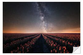 Autocolante decorativo Tulip field and Milky Way