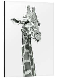 Aluminium print Sketch Of A Smiling Giraffe