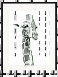 Gerahmter Kunstdruck Studie einer lachenden Giraffe