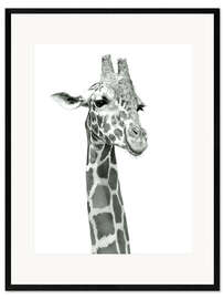 Plakat artystyczny premium w ramie Sketch Of A Smiling Giraffe