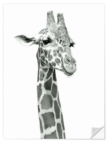 Wandsticker Studie einer lachenden Giraffe