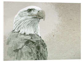 Tableau en verre acrylique Bald Eagle Majestic