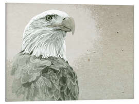 Stampa su alluminio Bald Eagle Majestic