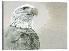 Lerretsbilde Bald Eagle Majestic