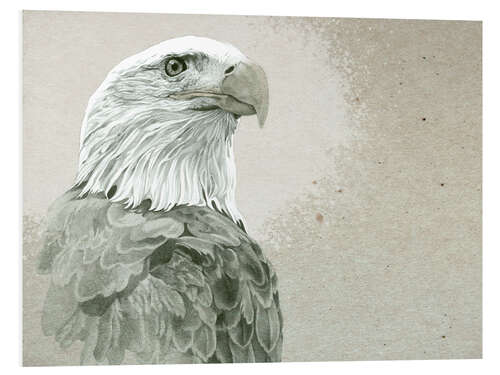 Bilde på skumplate Bald Eagle Majestic