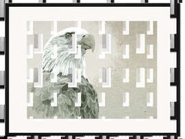 Gerahmter Kunstdruck Majestätischer Weißkopfseeadler