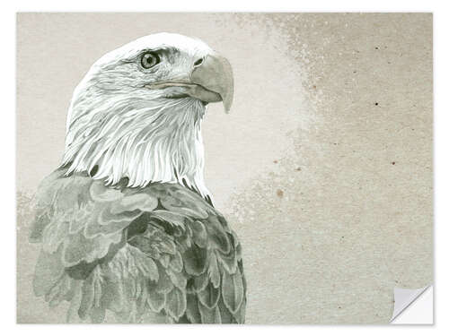 Naklejka na ścianę Bald Eagle Majestic