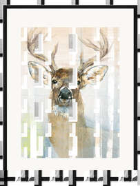 Gerahmter Kunstdruck Weißwedelhirsch und Birken