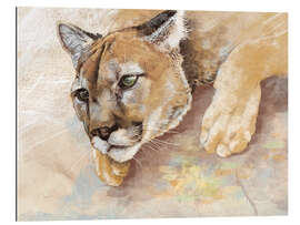 Quadro em plexi-alumínio Captived Mountain Lion