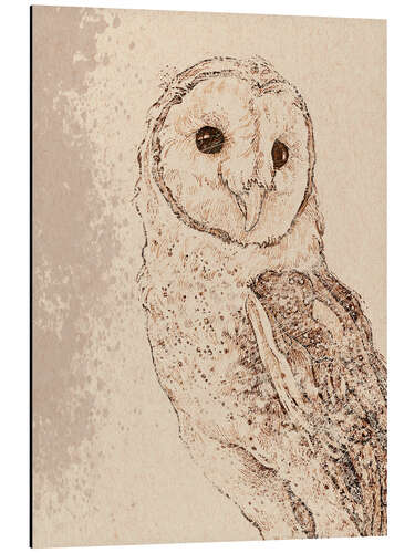 Aluminium print Endearing Barn Owl